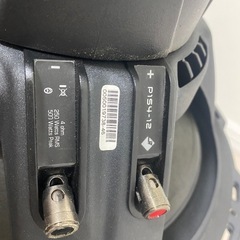 ロックフォードP1S4 12インチ2発の画像