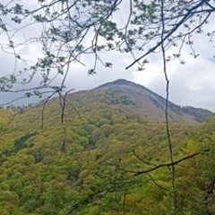 平日休みの登山友達募集🥰