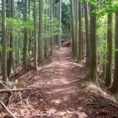 平日休みの登山友達募集🥰 - 京都市