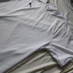PUMAティシャツの画像