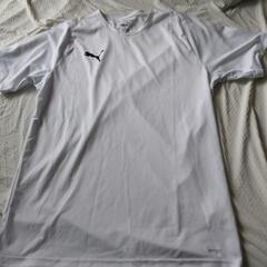 PUMAティシャツ