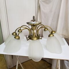 DAIKO 大光電気 シャンデリア 8灯 LED照明 ガラスシェ...