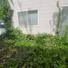 即日対応！高評価多数！ハジメヤの便利屋サービス｜石川県全域…