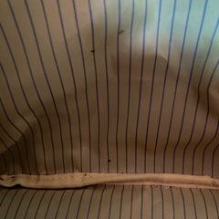 阪神タイガース　トートバッグ　デニム調　ペアクッション付き　応援グッズの画像