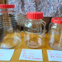 果実酒瓶6個