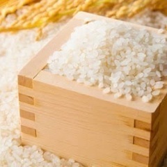 米　キヌヒカリ　約５キロ

