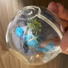 ポケモン　
