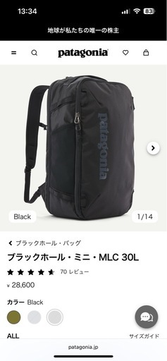 パタゴニアブラックホールバック