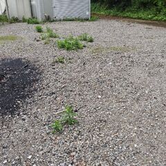 ２ｔコンテナ付き　貸し土地 - 賃貸（マンション/一戸建て）
