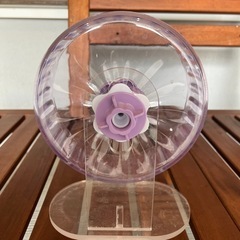 ゴールデンハムスタータイプ、回し車、餌皿、寝所の画像