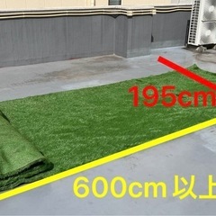 人工芝195cm×600cm以上