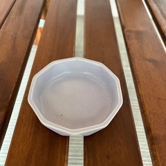 ゴールデンハムスタータイプ、回し車、餌皿、寝所の画像