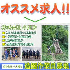 🌲株式会社小田咲/造園業員募集中/協力会社/一人親方募集