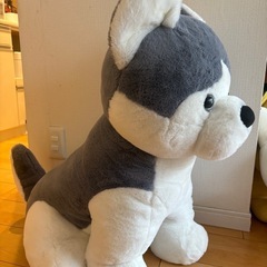 ぬいぐるみ　