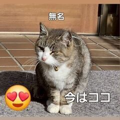 譲渡