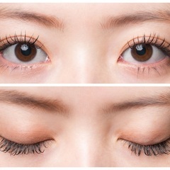 平日限定💎マツエク(下まつ毛も🙆‍♀️)orリフエクモニター様募集🔸40-100本迄🔸カラー+¥500 − 東京都