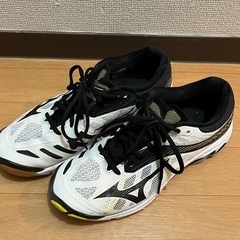 バレーシューズ　26.0センチ