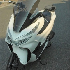 PCX JF81 風防　スクリーン　ブラック　新品の画像