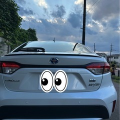 トヨタ カローラ　セダン WXB 2023/7 の画像