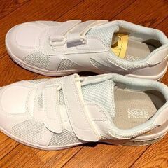 ミドリ安全靴 26.5センチの画像