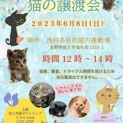 譲渡会のお知らせ