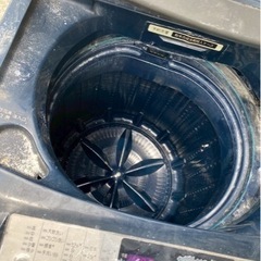 使える洗濯機。　ペットや仕事用にいかがですか？の画像