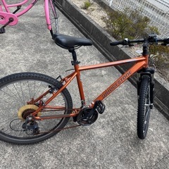 ロードバイクの画像