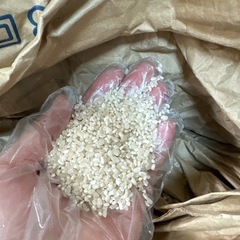 砕米15キロ
