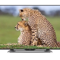 📺50V 液晶テレビ SHARP 裏番組視聴、録画対応✨️