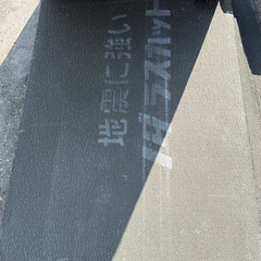 ノダラスカット
の画像