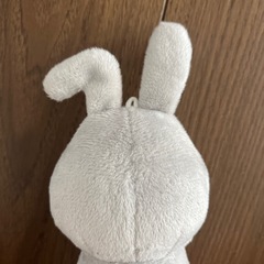 ラヴィット　ラッピー
の画像
