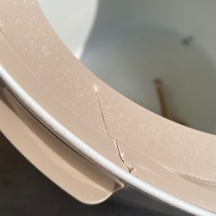 猫トイレの画像