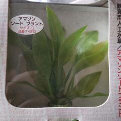 人工水草の画像