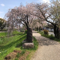 雑談LINEグループ