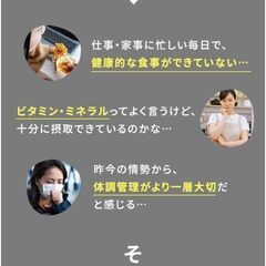 【新品・未使用】ゲイン カラダPROテクト 1袋（30日分）マルチビタミン ミネラル 健康 ヘルスケア 栄養機能食品 90粒 × 1の画像