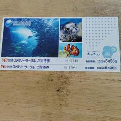 新江ノ島水族館ご招待券2枚
