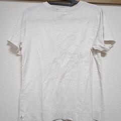 Tシャツ　Lの画像
