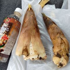 【無料】第56弾 穫れたて新鮮野菜 筍と玉ねぎの画像