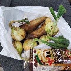 【無料】第56弾 穫れたて新鮮野菜 筍と玉ねぎの画像
