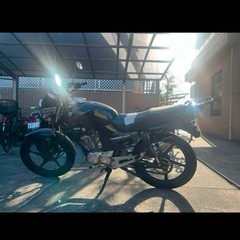 YBR125の画像