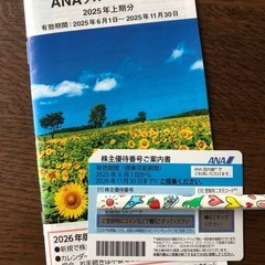2025年上期分　ANA株主優待券1枚、冊子