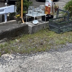 メダカ販売