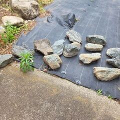 庭石　欲しいだけ