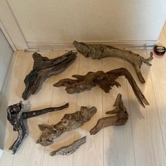 天然流木セット