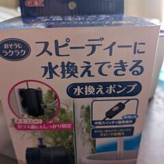 早めの取引限定の方のみ！ダンボールの中のもの全て込みでお宝ボックスではないですが、お譲りします。の画像