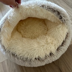 猫隠れ家？猫ハウス？の画像