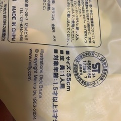 浮き輪1.5〜3才未満おまけ付の画像