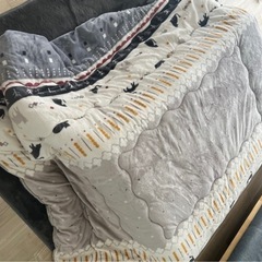 ソファー、コタツ、コタツ布団の画像