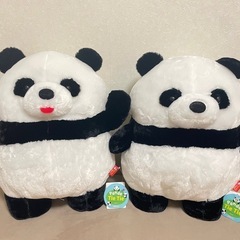パンダ　タイタイ　たっち　バンザイ　ぬいぐるみ　２種セット