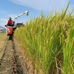 【淡路島に移住して農業しませんか？】未経験OK・全国の子供たちを笑顔にする野菜を届ける仕事！の画像